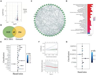 Constructing a prognostic model for hepatocellular carcinoma based on bioinformatics analysis of inflammation-related genes